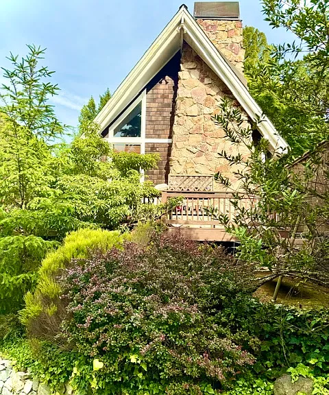 View from Daffodil lane. House is walking distance from downtown MV, a beautiful walk through the woods going down the Dipsea stairs.