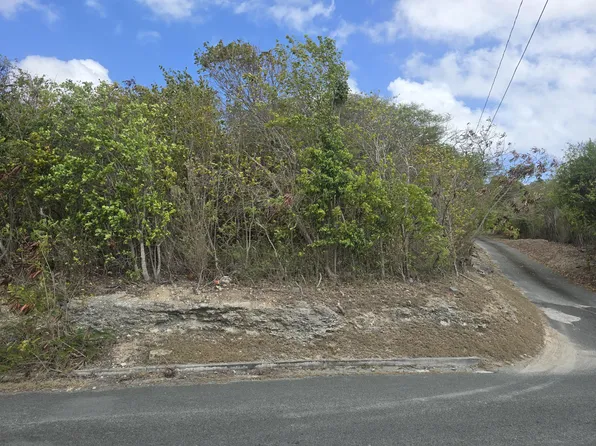 169-B Mary's Fancy QU, St. Croix, VI 00820