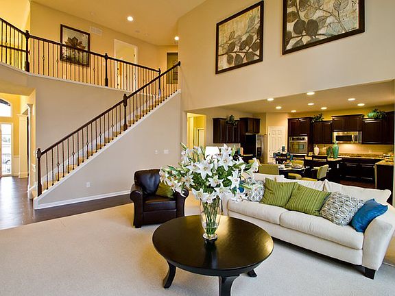 Model Representation