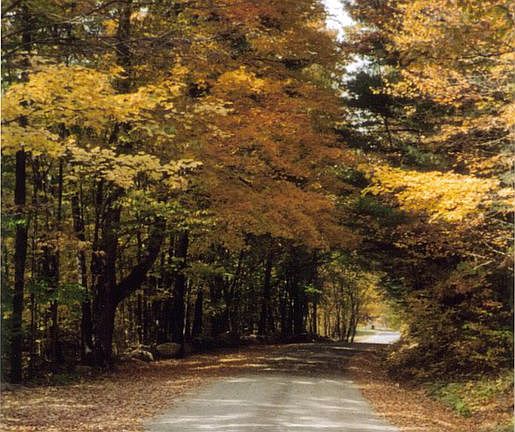 Kemp Rd. to Cabin