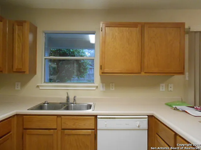 8403 Shooting Quail — Photo 5
