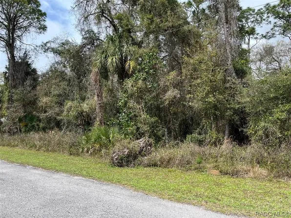 11579 W Indian Cir, Crystal River, FL 34428