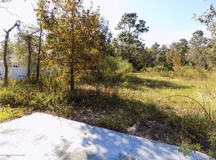 11284 Gyrafalcon Ave, Weeki Wachee, FL 34613