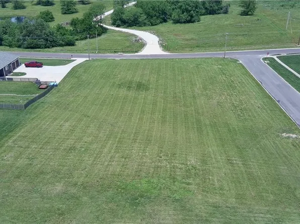 Cox School Rd, Odessa, MO 64076