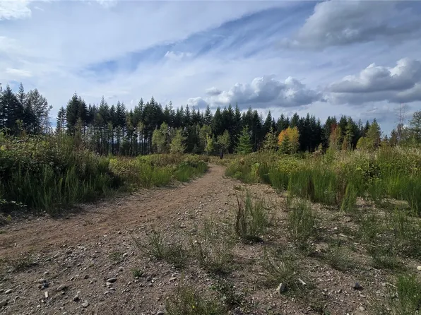 2 xxxx 170th Street E, Buckley, WA 98321