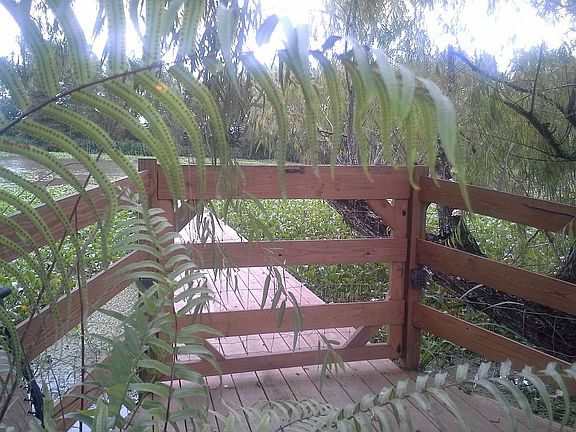 deck on the bayou Teche