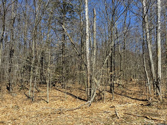 2nd image of LOT 129 Hemlock Ct
