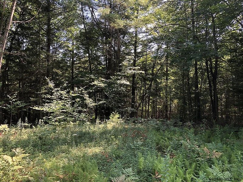 3rd image of L53.12 New Vermont Road