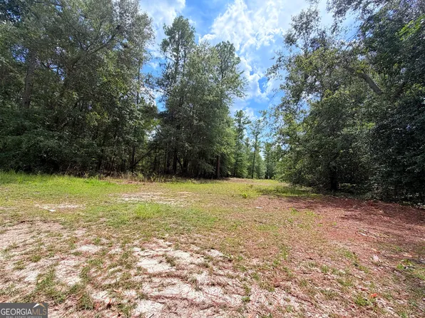 0 Lakeview Dr, Alamo, GA 30411