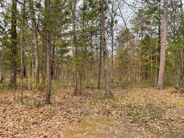 13296 Cedar Creek Rd, Wellston, MI 49689