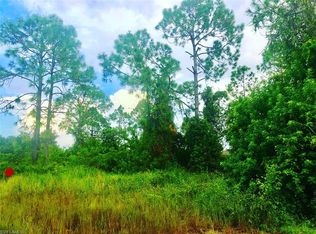 2915 4th St SW, Lehigh Acres, FL 33976