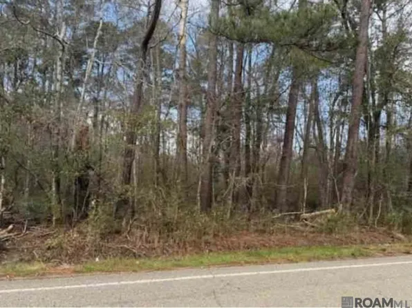 Highway 449, Pine Grove, LA 70453