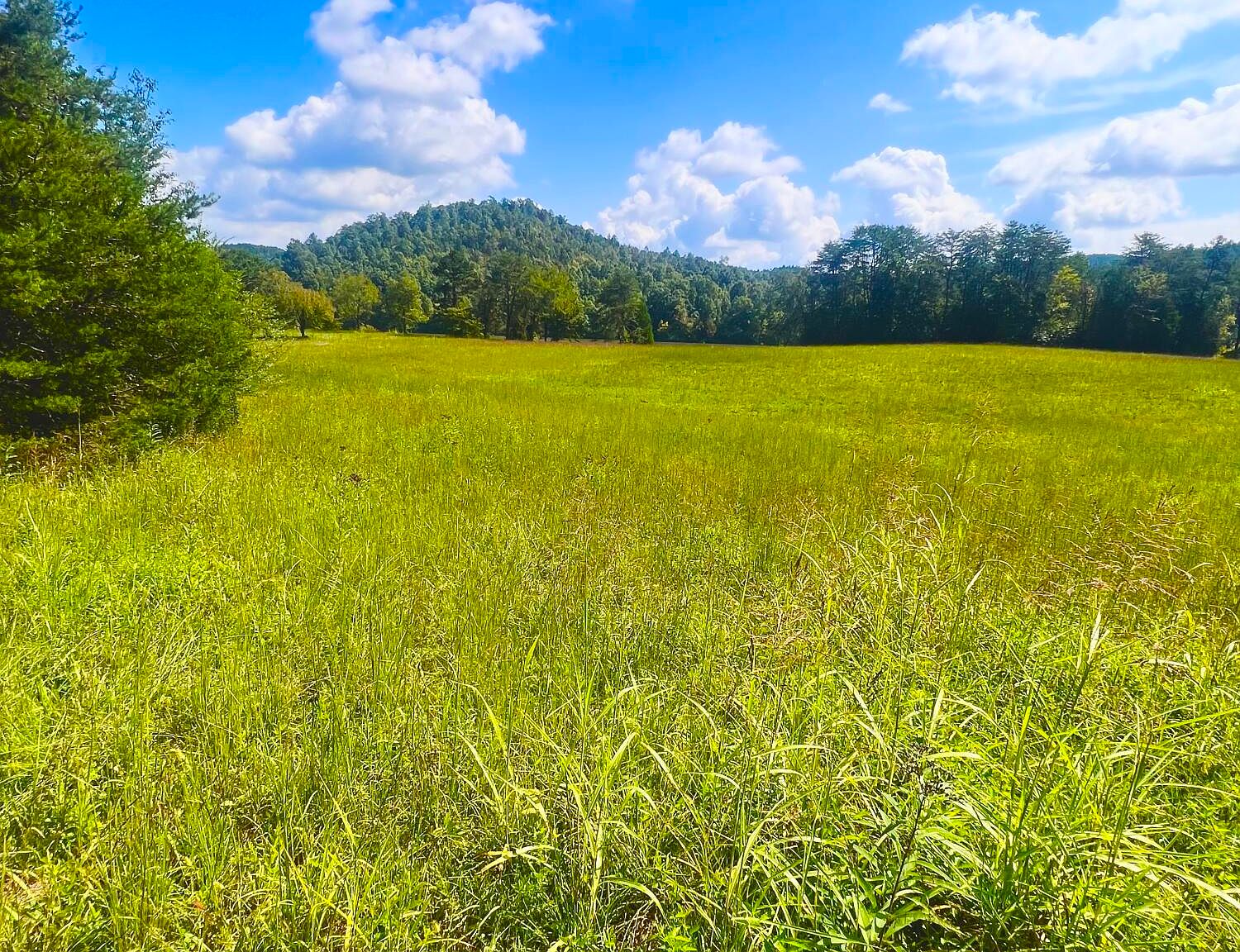 Harris Branch Rd, Madisonville, TN 37354 MLS 1240614 Zillow