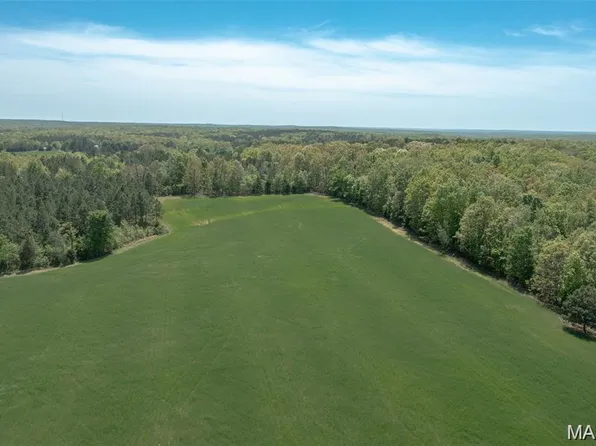 43 Annapolis Dr, Glenallen, MO 63751