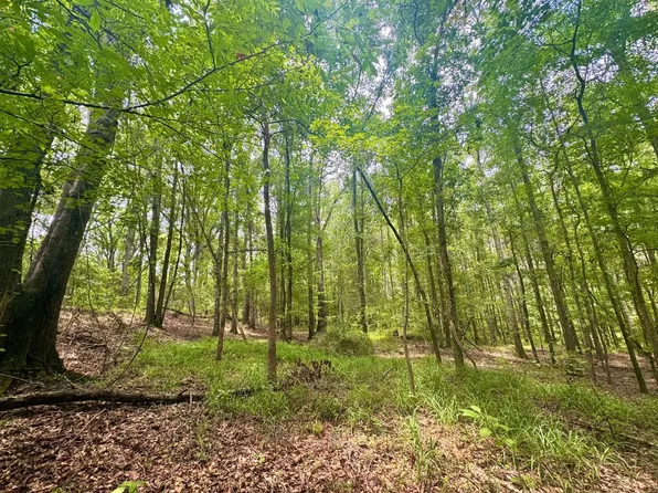 29 Highway, Union Springs, AL 36089