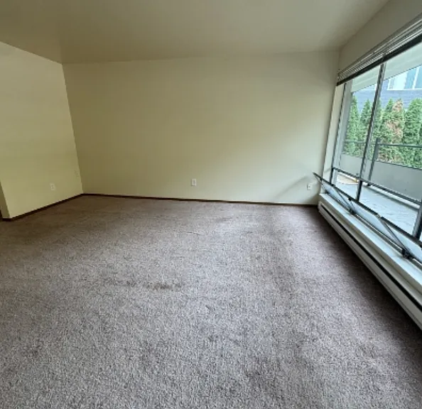 4119 11th Ave NE #1007 — Photo 10