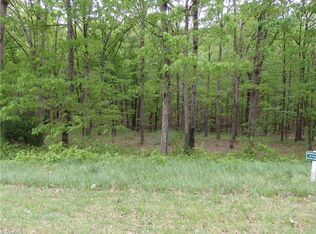 945 Healing Springs Dr, Denton, NC 27239