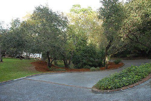 view down driveway to street