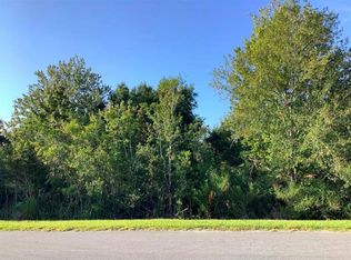 19350 Oakleaf St, Orlando, FL 32833
