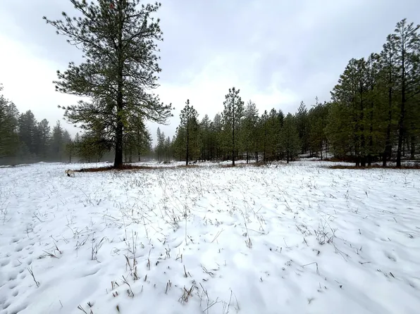 122 Art Creek Rd, Malo, WA 99150