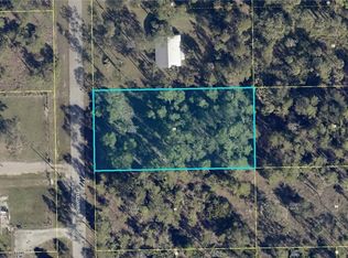 2304 Scott Ave, Alva, FL 33920