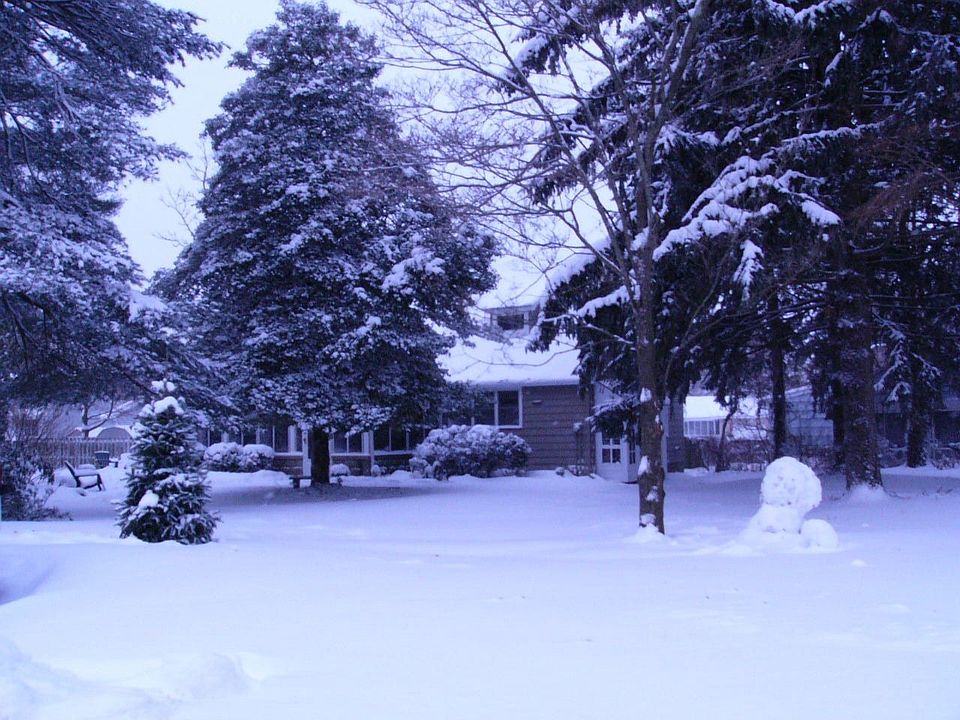 winter planket