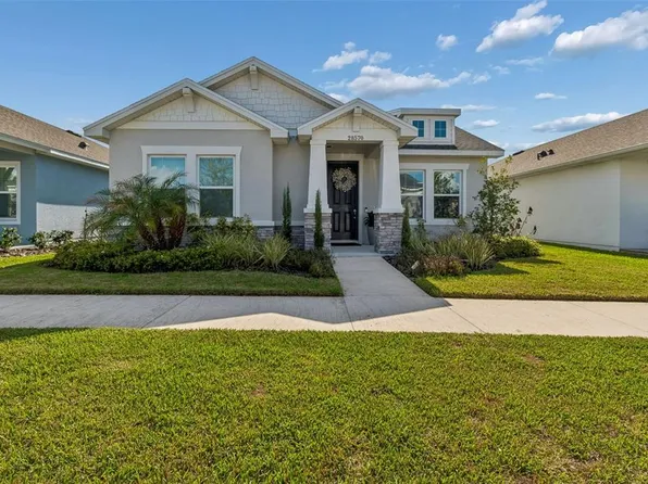 28570 Sweet Persimmon Dr, Wesley Chapel, FL 33543