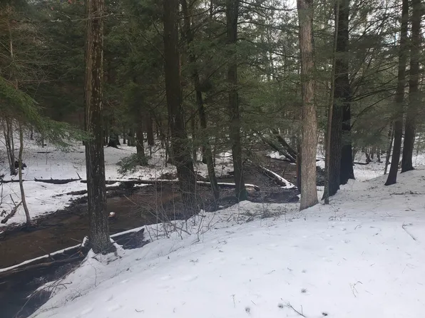 0 E Wildwood Trl, Rothbury, MI 49452