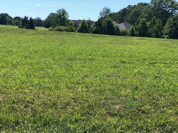 11 Saint Charles Cv, Adamsville, TN 38310