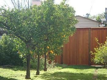5th image of 4626 Constance Dr