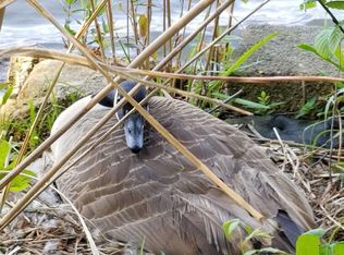 108 Crooked Creek Bay Rd, Eatonton, GA 31024