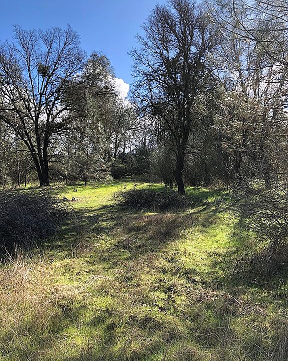 2nd image of 352 Black Creek Dr