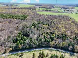 2788 Williamson Rd #20, Greenwood, NY 14839