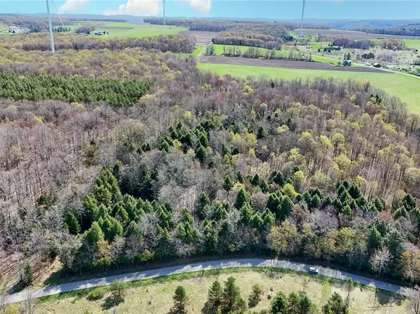 2788 Williamson Rd #20, Greenwood, NY 14839