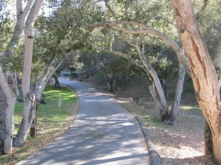 Entry Lane