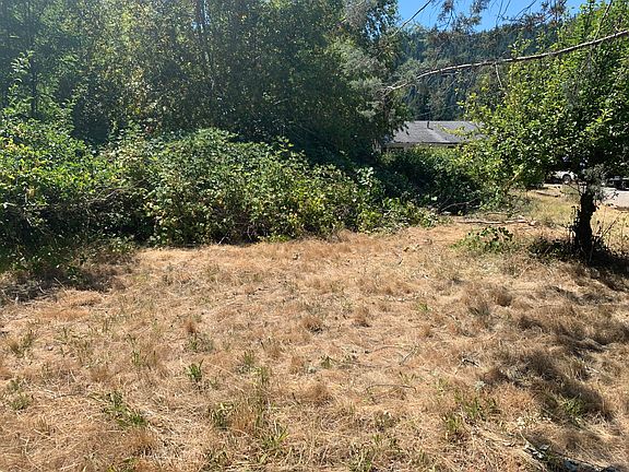 3rd image of 866 Redway Dr