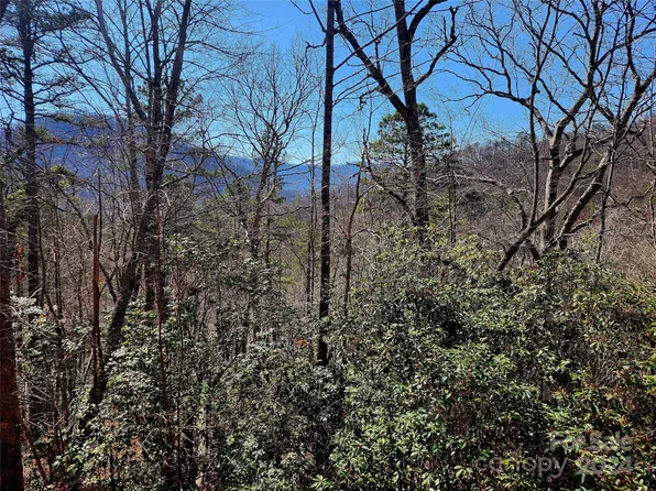 LOT D16 Cedar Creek Farm Rd, Tuckasegee, NC 28783