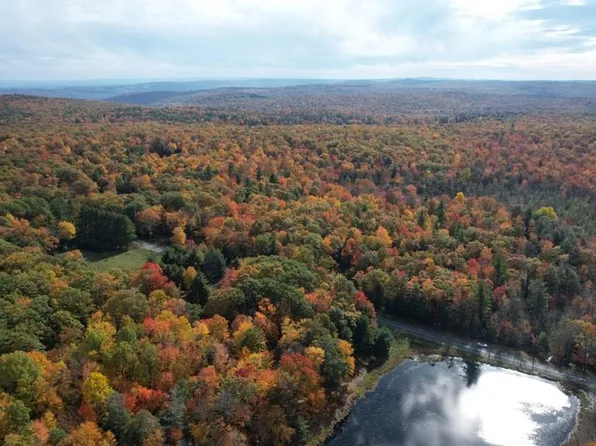 Mount Vernon Road, Wurtsboro, NY 12790