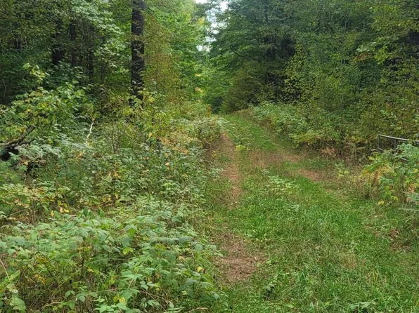 0 Westwood Rd NE, Mancelona, MI 49659