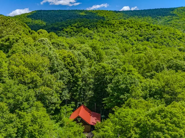 87 Erehwon Dr, Cass, WV 24927