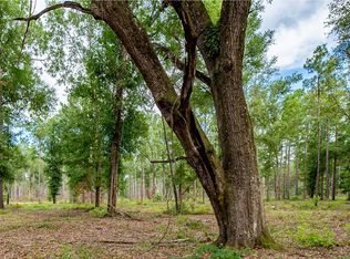 Crestview Rd, Arlington, GA 39813