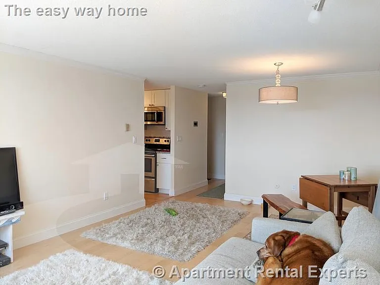 94 Beacon St #93 — Photo 8