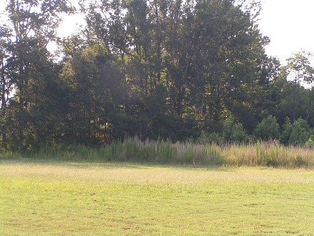 2nd image of 4460 Roundtree Rd