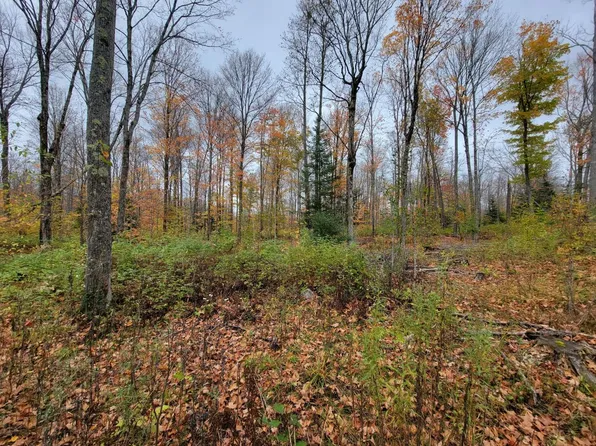 On Cth #A-lot 1, Deerbrook, WI 54424