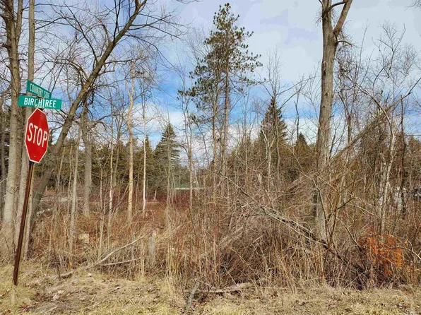 Birch Tree Rd, Lexington, MI 48450