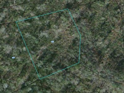 245 Black Hawk Dr, Waynesville, GA, 31566