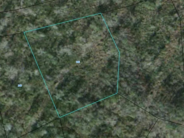 245 Black Hawk Dr, Waynesville, GA 31566