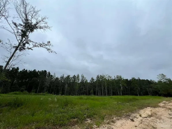 9901 Chumuckla Springs Rd, Jay, FL 32565