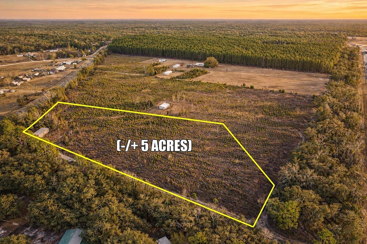 11591 NE 69th Ln, Williston, FL 32696 | MLS #99083 | Zillow