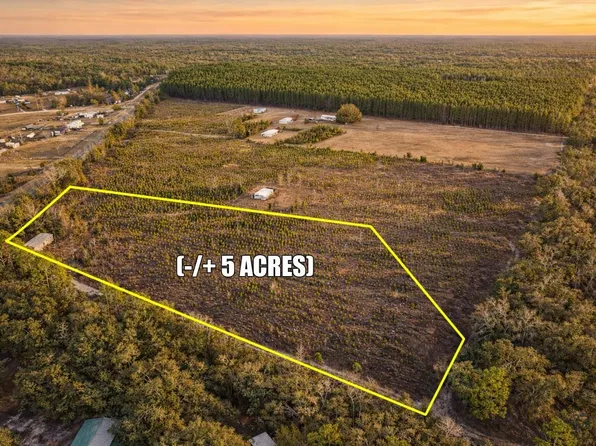 11591 NE 69th Ln, Williston, FL 32696